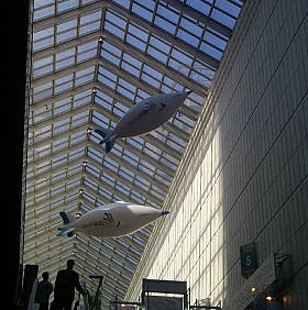 airfish12_280.jpg (24745 bytes)