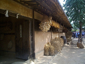 back_to_the_basic_280.jpg (24938 bytes)