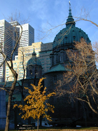 2_320.jpg (60049 bytes)